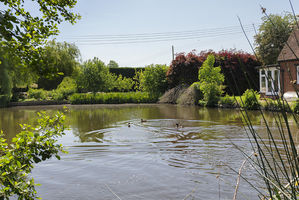 Photo 71- click for photo gallery